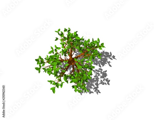 Abstract tree. Isolated on ...