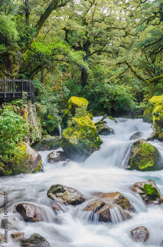 Quadro em tela Waterfall in Lake Marian which is located in the Fiordland National Park, Milford sound, New Zealand