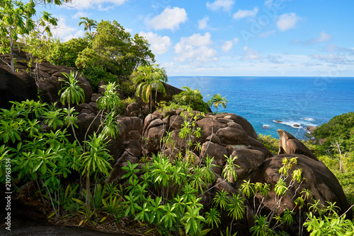 Anse major trail, hiking on nature trail of Mahe, Seychelles photo