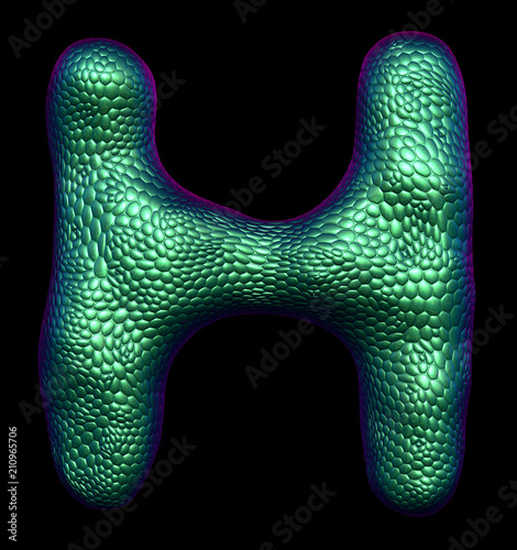 Letter H made of natural green snake skin texture isolated on black.