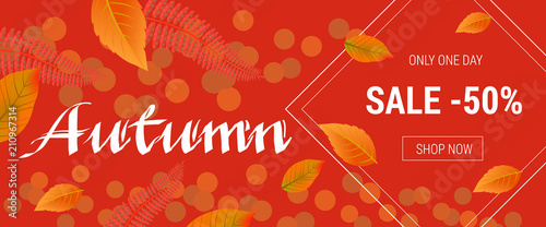 Autumn lettering for shopping banner. Only one day sale fifty percent Shop now lettering in rhombus on orange background. Illustration with lettering can be used for announcement, posters and leaflets
