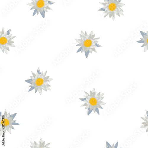 Seamless floral pattern white water lily on white, vector eps 10