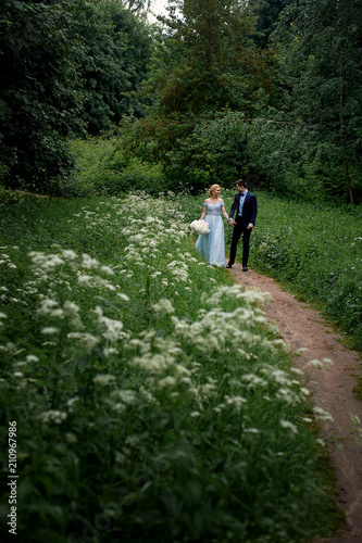 The bride and groom walk along the path through the field with the white . Park or forest. Wedding walk and photo shoot © gal2007