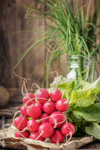 Bunch of fresh young radish vegetables
