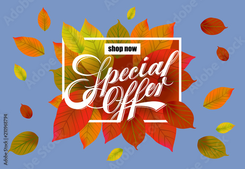 Shop now Special offer lettering in frame. Modern inscription with autumn leaves on bright background. Illustration with lettering can be used for banner, posters and leaflets