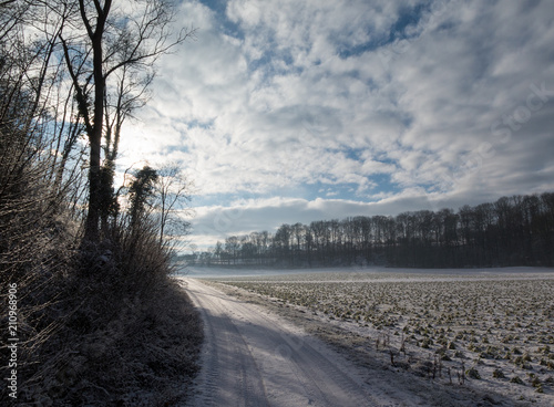 Rural winter scene