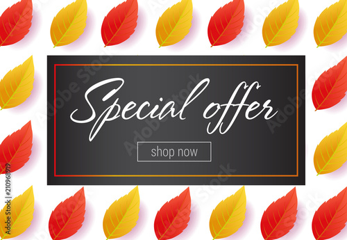 Special offer lettering with leaves pattern. Autumn offer or sale advertising design. Handwritten and typed text, calligraphy. For leaflets, brochures, invitations, posters or banners.