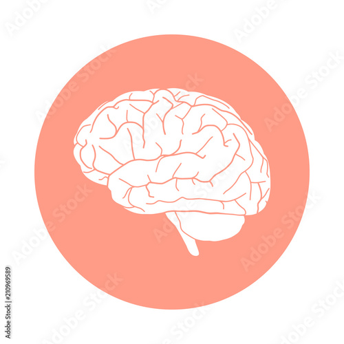 Sign human brain. Icon brain in rose circle isolated on white background. Vector illustration 
