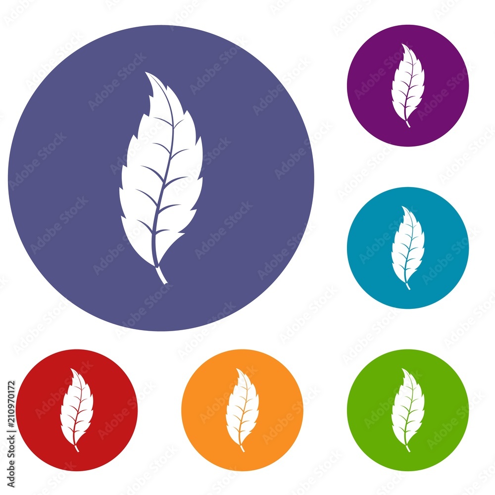 Narrow toothed leaf icons set in flat circle red, blue and green color for web Narrow toothed leaf icons set in flat circle red, blue and green color for web