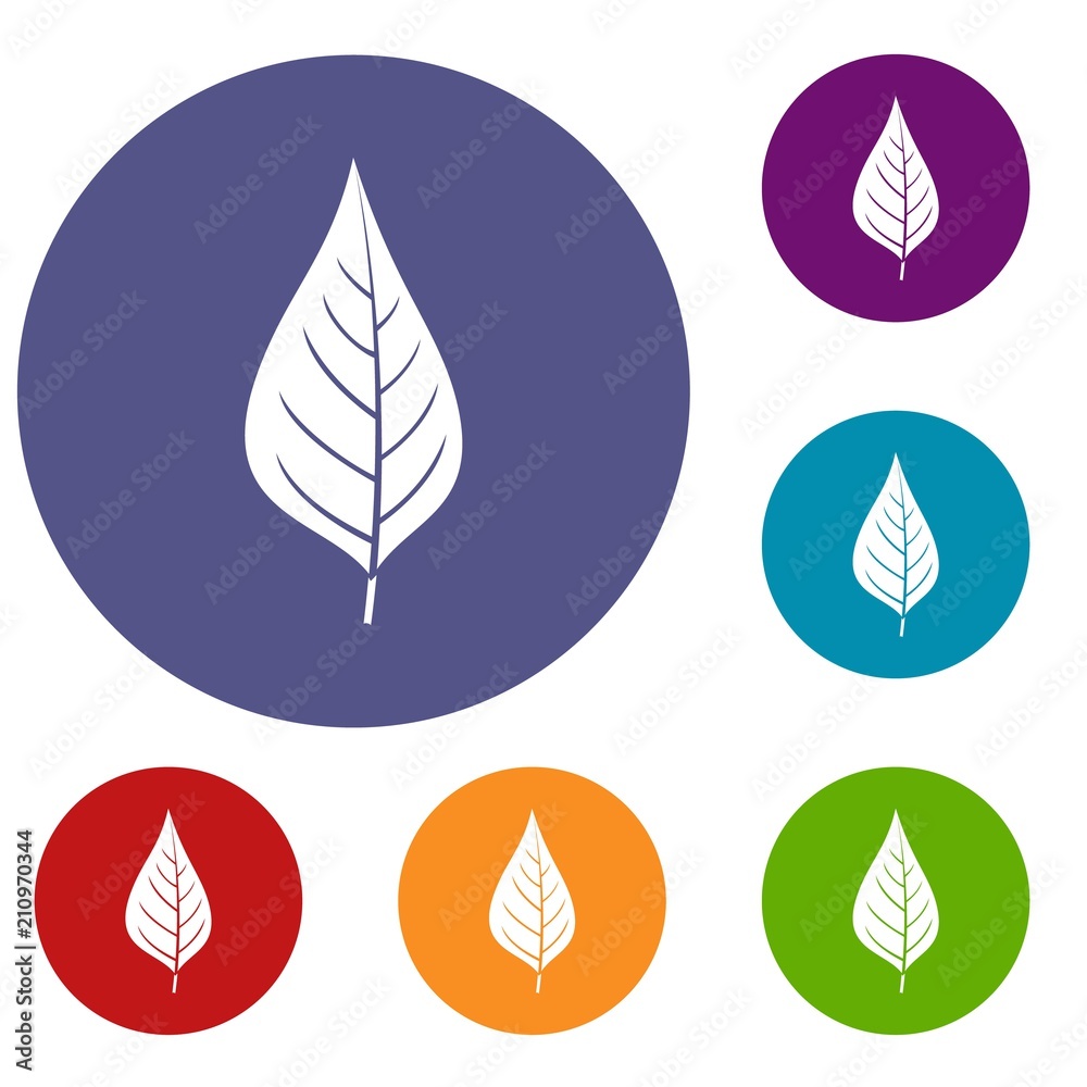 Apple tree leaf icons set in flat circle red, blue and green color for web Apple tree leaf icons set in flat circle red, blue and green color for web