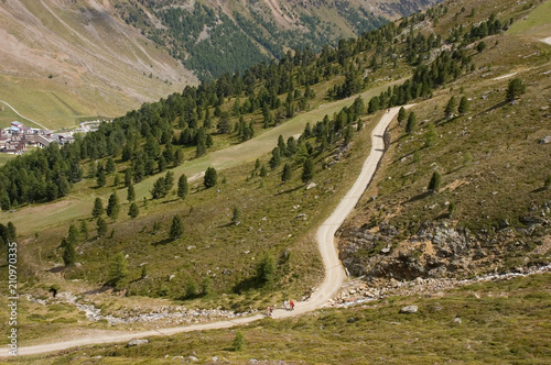 Weg zur Lazaun-Alm im Schnalstal in Südtirol photo