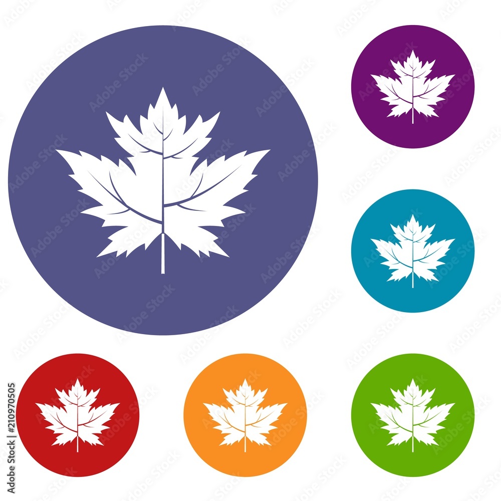 Gooseberry leaf icons set in flat circle red, blue and green color for web Gooseberry leaf icons set in flat circle red, blue and green color for web