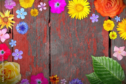 Beautiful flower frame with empty in center on red shabby painted wood desks background. Floral composition of spring or summer flowers.