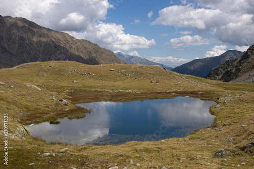 Tümpel auf der Lazaun-Alm in Südtirol