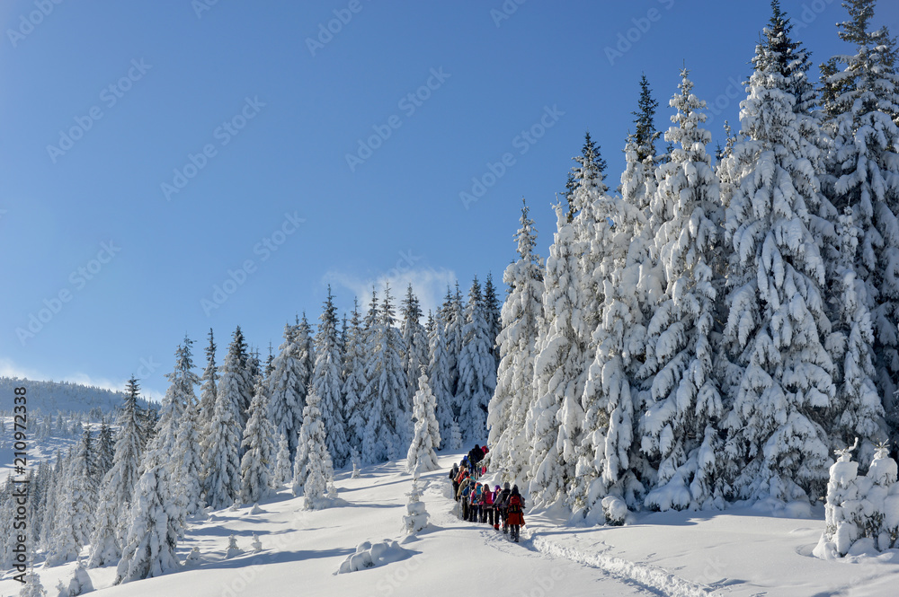 People in Winter trekking