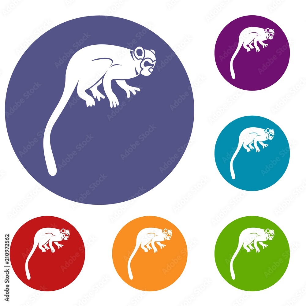 Marmoset monkey icons set in flat circle red, blue and green color for web Marmoset monkey icons set in flat circle red, blue and green color for web