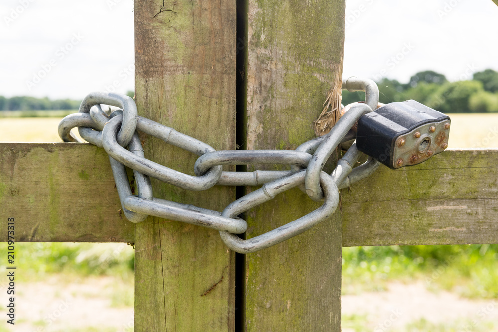 Fototapeta premium Gate locked with a metal chain and padlock