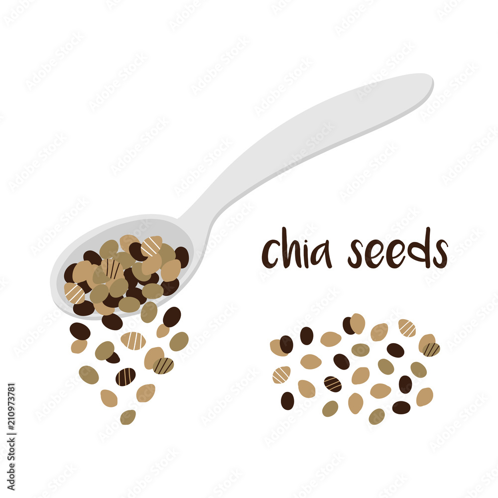 Vector cartoon, doodle illustration of chia seed falling from the spoon and  pinch of chia seeds isolated on white background. Stock Vector | Adobe Stock