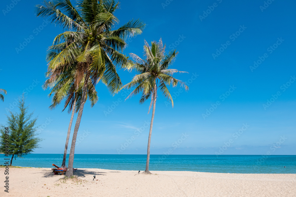 coconut tree on the beach (selective focus and tone adjustment applied) coconut tree on the beach (selective focus and tone adjustment applied)