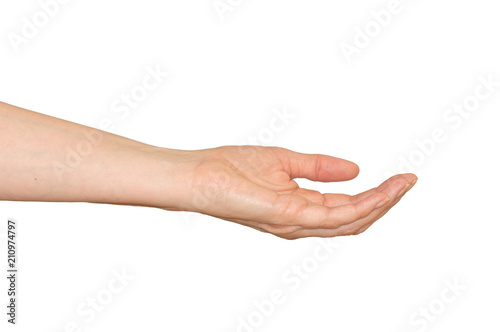 Caucasian woman's empty cupped hand ready to receive something. Isolated on white.