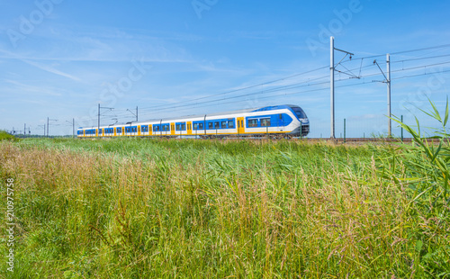 Train riding along a field in sunlight in summer