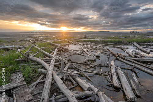 Driftwood captured near the Tony Knowles Coastal trail in Anchoragae photo