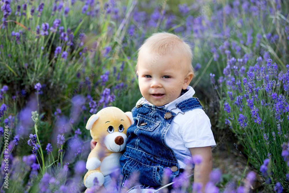 Sweet toddler child in casual cloths, sitting in lavender field, smiling
