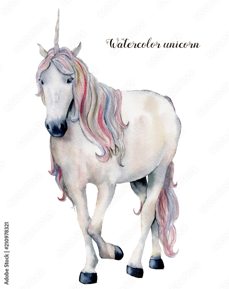 Watercolor white unicorn with rainbow hair. Hand painted magic horse isolated on white background. Fairytale character illustration design, fabric, card, print or background.