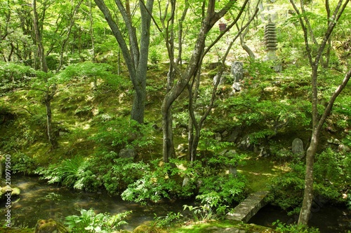 新緑の日本庭園