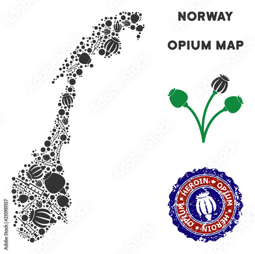 Opium addiction Norway map mosaic of poppy heads and syringes. Template for narcotic addiction campaign against heroin dependence. Vector Norway map is made of opium poppyheads and injection needles.