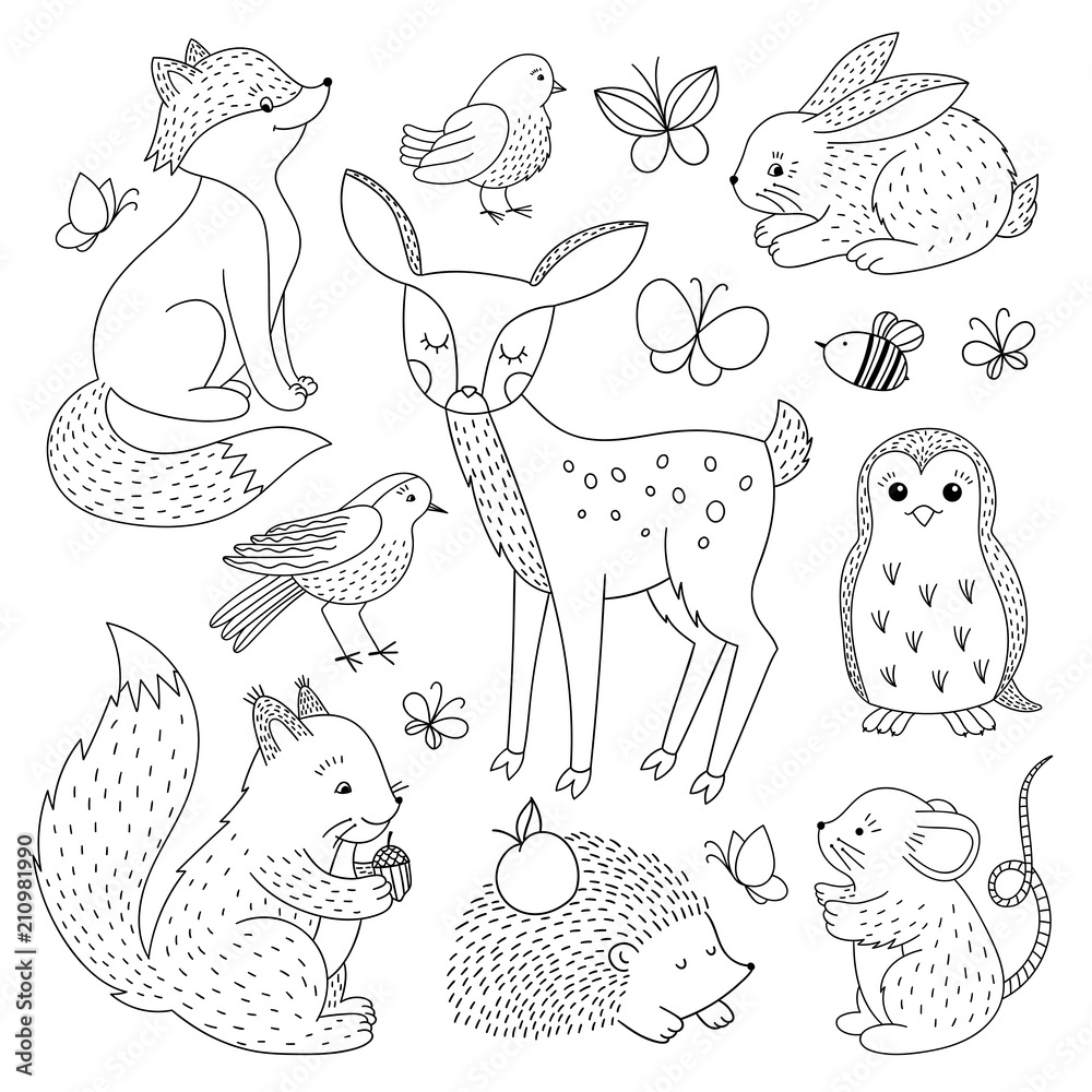 Forest animals set. Cute wild animals outline hand drawn illustration Stock  Vector | Adobe Stock