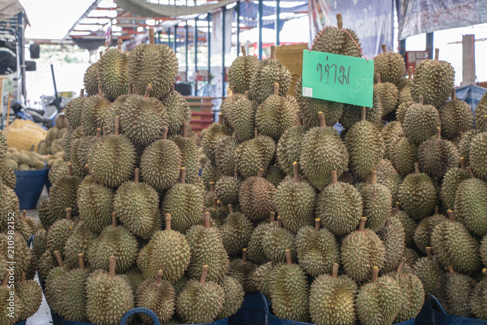 Durain the king of fruits in thailand market. Durain the king of fruits in thailand market.