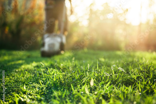 Lawn mower cutting green grass in backyard.Gardening background