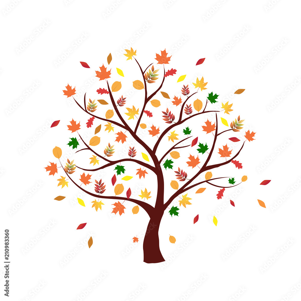Herbst Baum