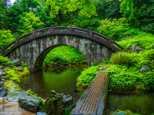 Japanese Garden in Korakuen Tokyo
