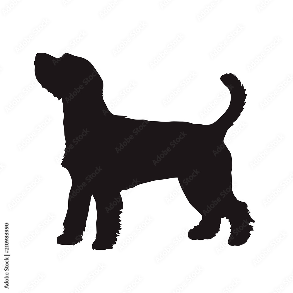 Dog vector silhouette, Parson Russell Terrier. Side view