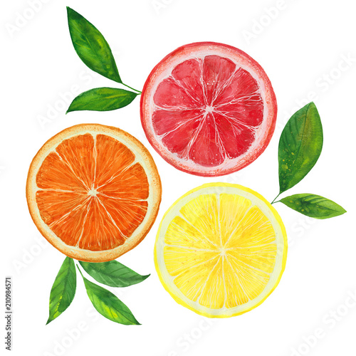 lemon,  grapefruit and  orange