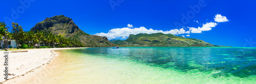 Incredible nature of Mauritius island. Tropical exotic holidays © Freesurf