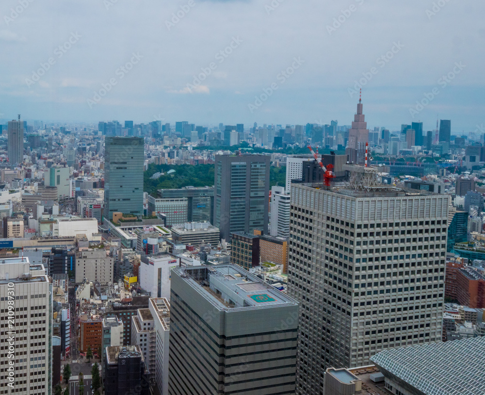 Fototapeta premium Aerial view over the big city of Tokyo