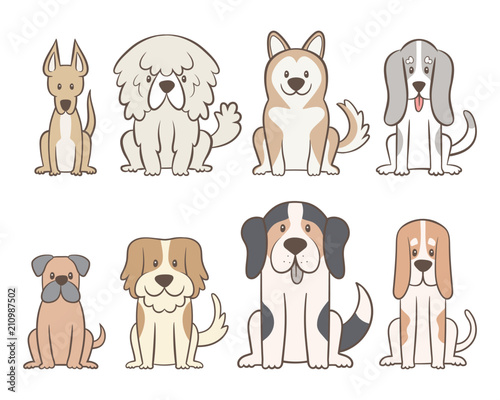 Collection of different kinds of dogs isolated on white background. Hand drawn dogs sitting in front view position. Vector illustration.