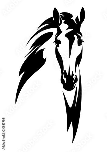 horses face black and white clipart