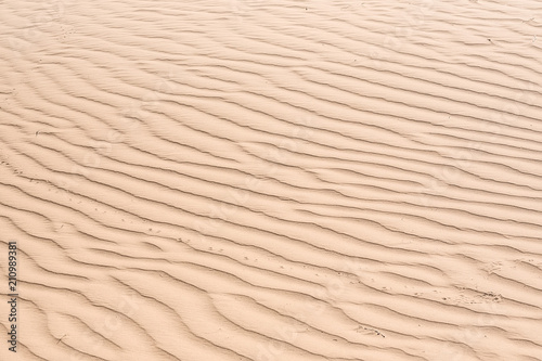 Sand texture close