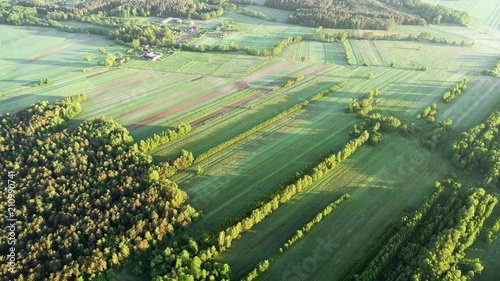 Aerial landscape - spring fields and forests