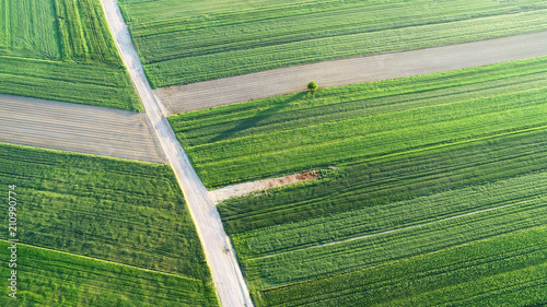 Aerial landscape - road between fields