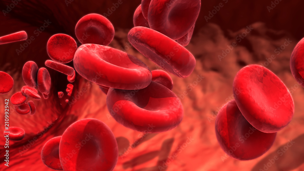 red blood cells circulating in the blood vessels - obrazy, fototapety, plakaty 