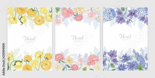 Collection of floral backgrounds or card templates with frames made of beautiful blooming wild flowers and flowering herbs and place for text. Elegant realistic botanical vector illustration.