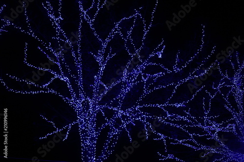 illumination de Noël © WWPhotography