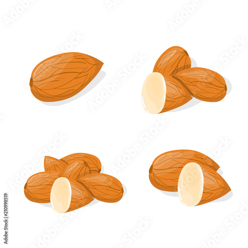 Closeup Almond vector icon. Healthy eating cartoon illustration. Group of nuts isolated on white background