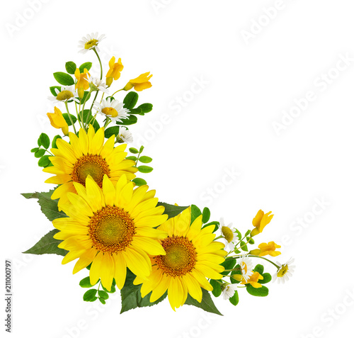 Sunflowers, daisies and acacia flowers and green leaves in a corner arramgement