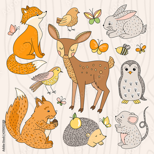 Funny forest animals illustrations. Cute wild life animals and birds